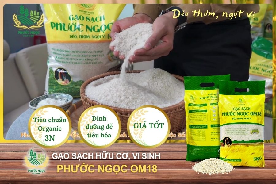 Xu Hướng Gạo Sạch Hữu Cơ – Lựa Chọn Của Người Tiêu Dùng Hiện Đại