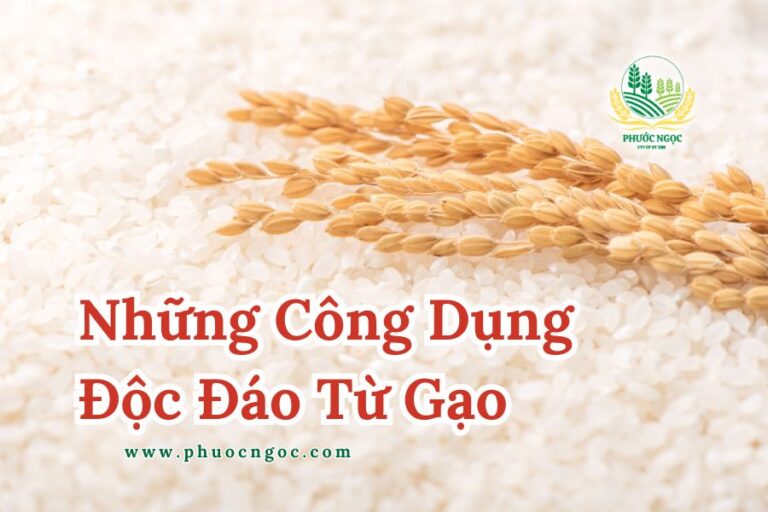 Những Công Dụng Độc Đáo Từ Gạo Mà Bạn Không Ngờ Đến