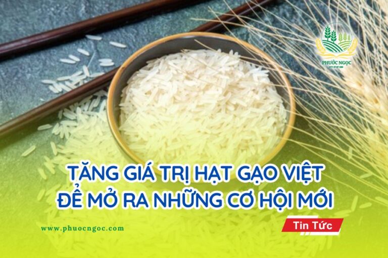 Tăng giá trị hạt gạo Việt để mở ra những cơ hội mới