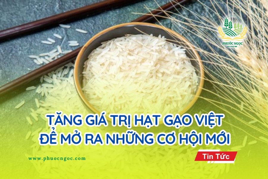 Tăng giá trị hạt gạo Việt để mở ra những cơ hội mới