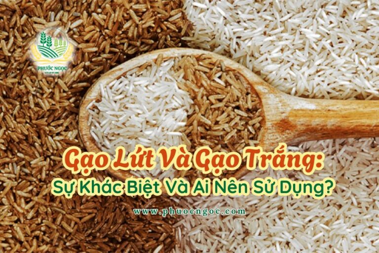 Gạo Lứt Và Gạo Trắng: Sự Khác Biệt Và Ai Nên Sử Dụng?