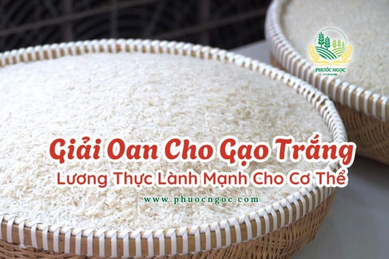 Giải Oan Cho Gạo Trắng - Lương Thực Lành Mạnh Cho Cơ Thể