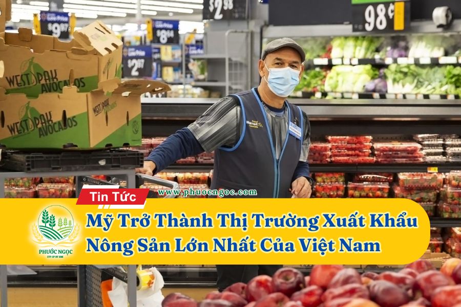 Mỹ Trở Thành Thị Trường Xuất Khẩu Nông Sản Lớn Nhất Của Việt Nam