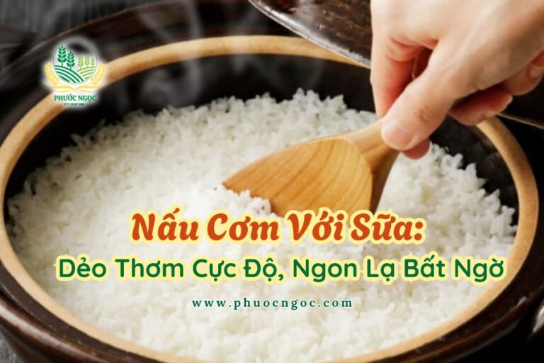 Nấu Cơm Với Sữa Dẻo Thơm Cực Độ, Ngon Lạ Bất Ngờ