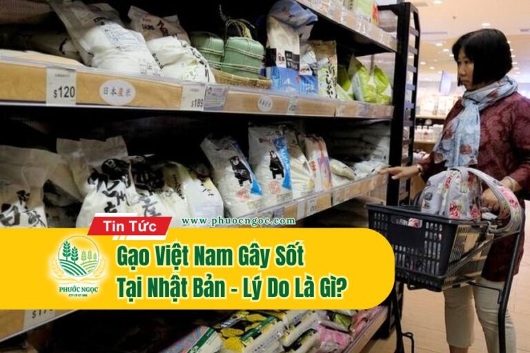 Gạo Việt Nam Gây Sốt Tại Nhật Bản – Lý Do Là Gì?