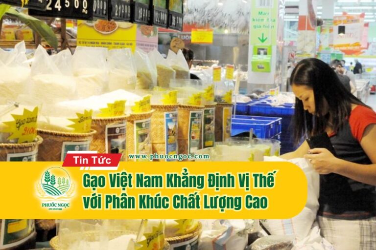 Gạo Việt Nam Khẳng Định Vị Thế với Phân Khúc Chất Lượng Cao