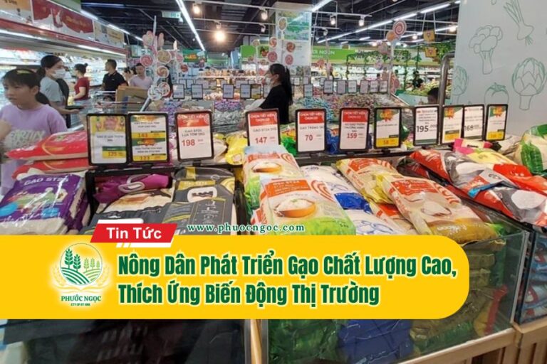 Phước Ngọc Đồng Hành Cùng Nông Dân Phát Triển Gạo Chất Lượng Cao, Thích Ứng Biến Động Thị Trường