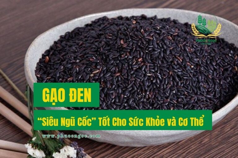 Gạo Đen – “Siêu Ngũ Cốc” Tốt Cho Sức Khỏe và Cơ Thể