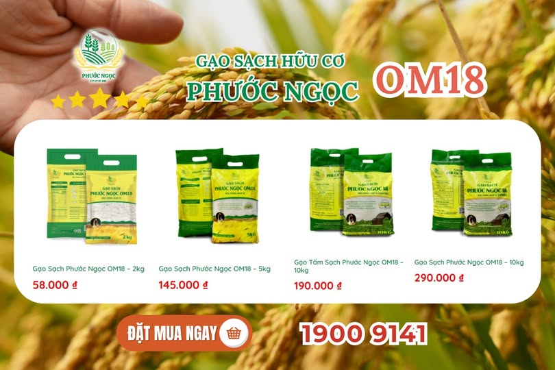 gạo sạch hữu cơ Phước Ngọc