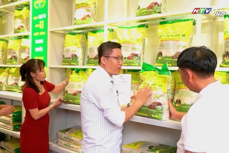 gạo sạch hữu cơ Phước Ngọc