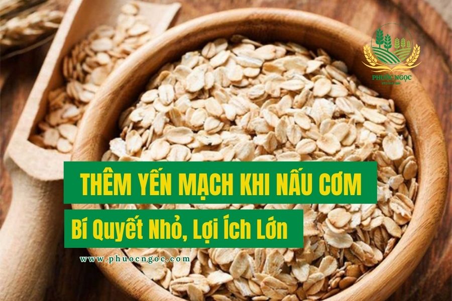 Thêm Một Nắm Yến Mạch Khi Nấu Cơm – Bí Quyết Nhỏ, Lợi Ích Lớn