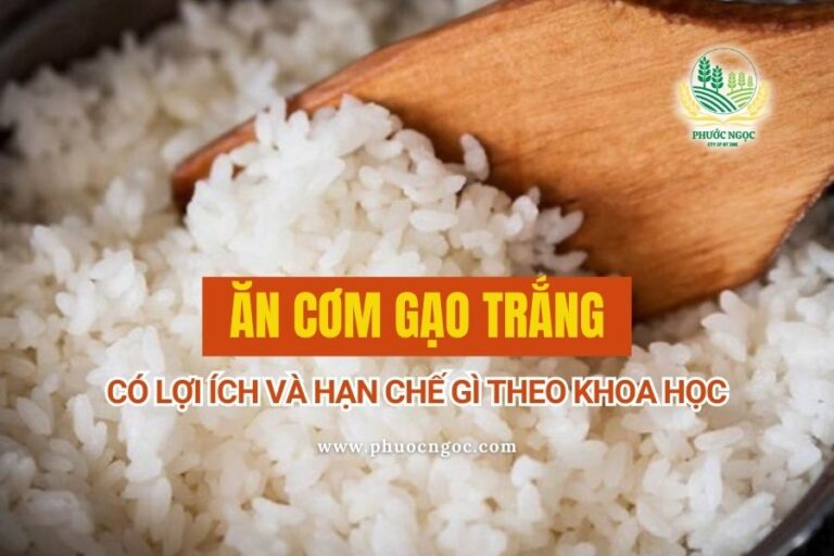 Ăn Cơm Gạo Trắng Có Lợi Ích và Hạn Chế Gì Theo Khoa Học
