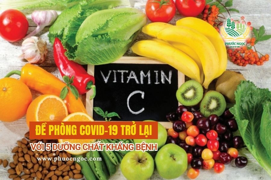 Vitamin C – Tăng cường bảo vệ và phục hồi