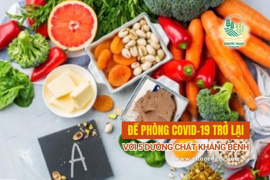 Đề Phòng COVID-19 Trở Lại với 5 Dưỡng Chất Kháng Bệnh