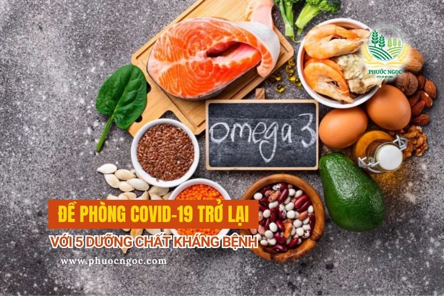 Acid béo Omega-3 – Điều hòa viêm và hỗ trợ tinh thần