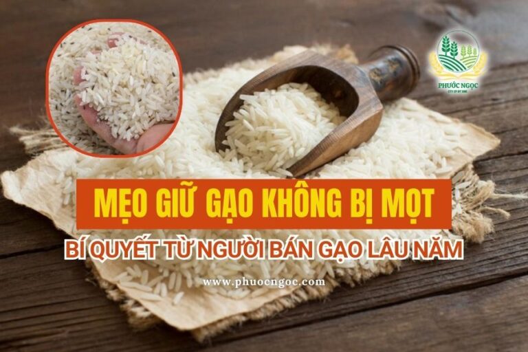 Mẹo Giữ Gạo Không Bị Mọt – Bí Quyết Từ Người Bán Gạo Lâu Năm
