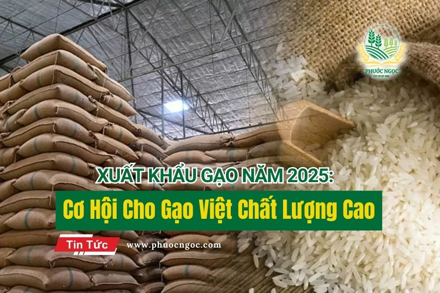 Xuất Khẩu Gạo Năm 2025: Cơ Hội Cho Gạo Việt Chất Lượng Cao
