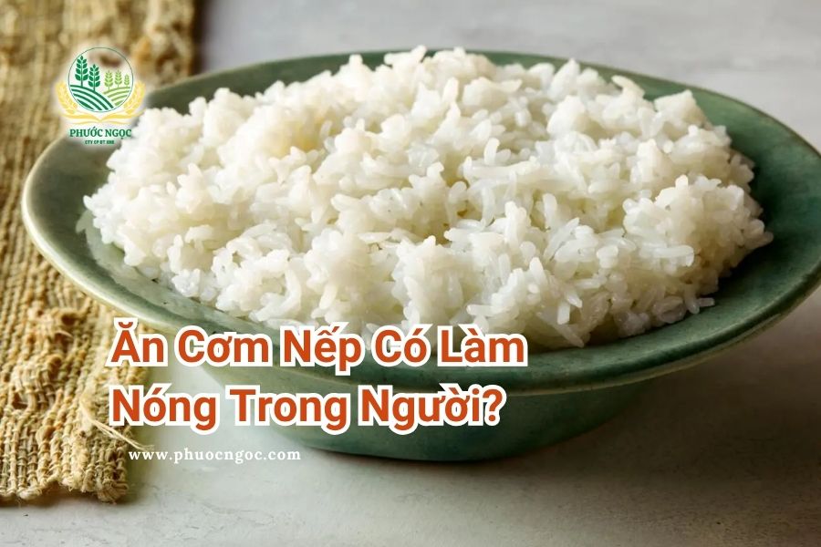 Cơm Nếp và Cơm Tẻ: Loại Nào Bổ Dưỡng Hơn?