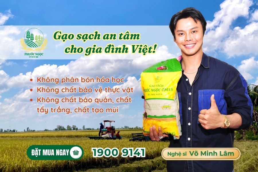 Gạo sạch – lựa chọn an toàn và dinh dưỡng