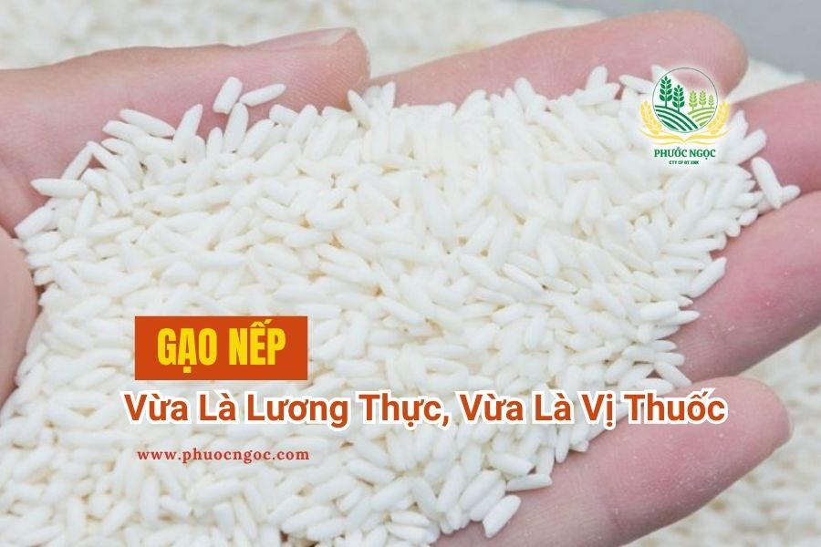 [Quan Trọng Cho Sức Khỏe] Những Ai Không Nên Ăn Gạo Nếp?