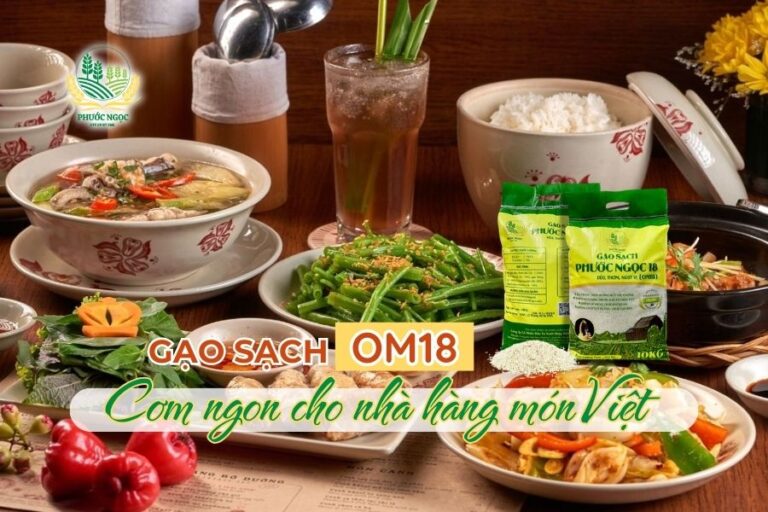 Phước Ngọc – Nhà Phân Phối Gạo Sạch & Gạo Tấm Sạch Cho Quán Ăn, Nhà Hàng