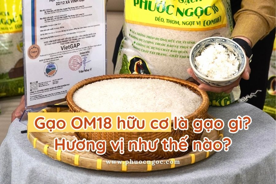 Gạo OM18 hữu cơ là gạo gì, hương vị như thế nào?