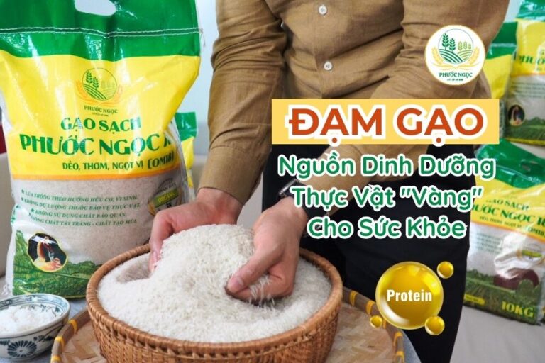 Đạm Gạo: Nguồn Dinh Dưỡng Thực Vật "Vàng" Cho Sức Khỏe