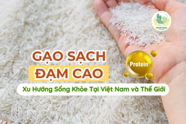 Gạo Đạm Cao: Xu Hướng Sống Khỏe Tại Việt Nam và Thế Giới