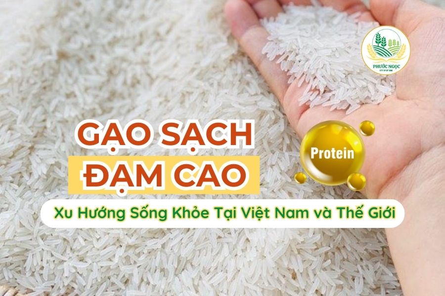 Gạo Đạm Cao: Xu Hướng Sống Khỏe Tại Việt Nam và Thế Giới