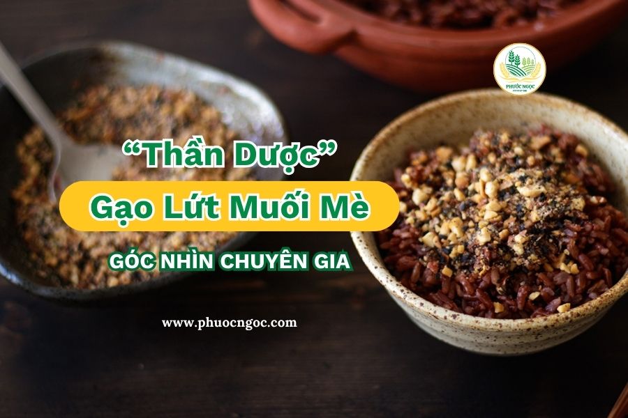 Góc nhìn chuyên gia về “Thần Dược” Gạo Lứt Muối Mè