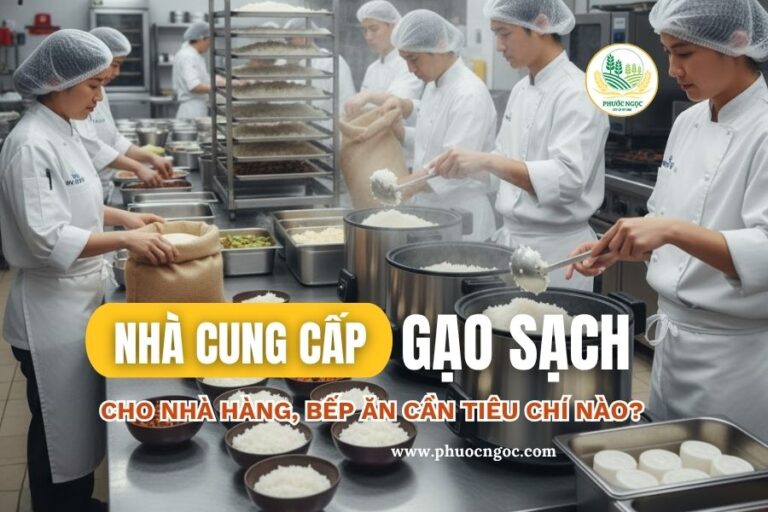 Chọn nhà cung cấp gạo sạch cho nhà hàng, bếp ăn cần tiêu chí nào?