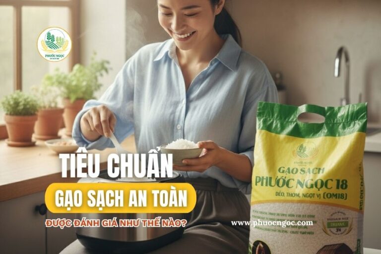 Tiêu chuẩn gạo sạch an toàn được đánh giá như thế nào?