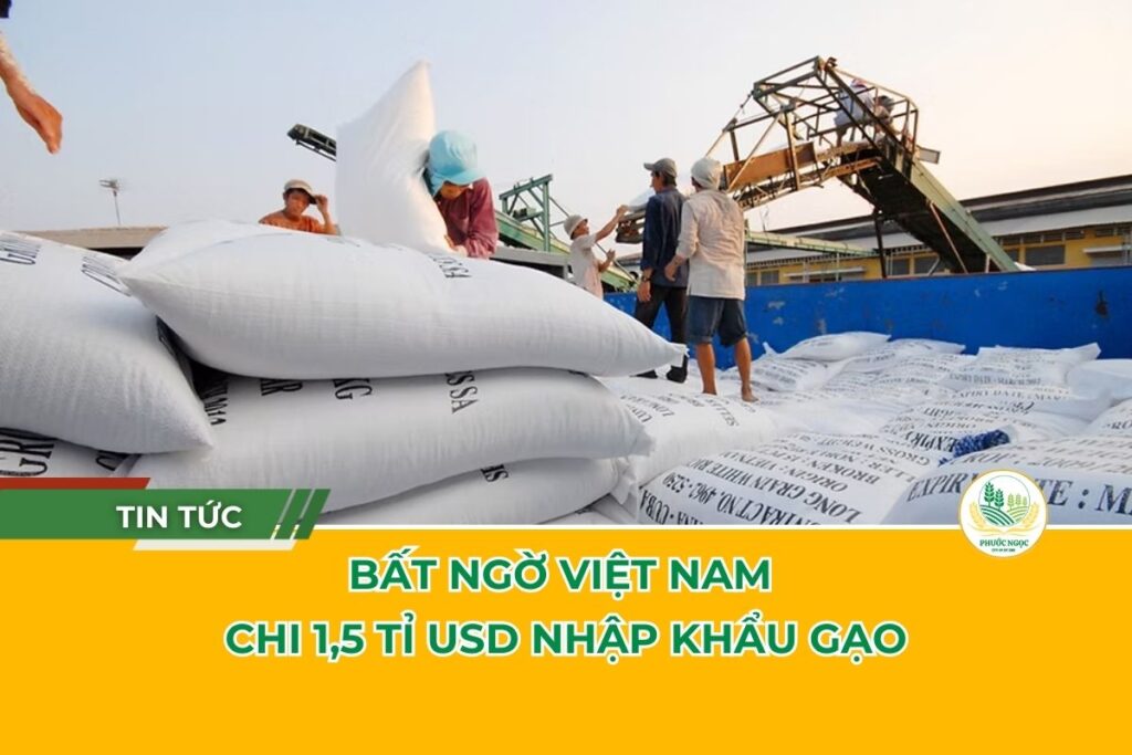 Bất ngờ Việt Nam chi 1,5 tỉ USD nhập khẩu gạo!