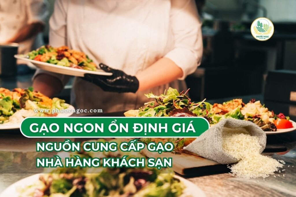 Nguồn cung cấp gạo nhà hàng khách sạn - gạo ngon ổn định giá