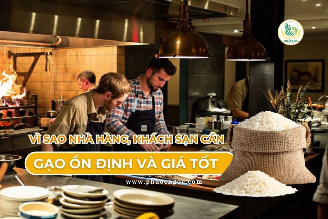 Nguồn cung cấp gạo nhà hàng khách sạn - gạo ngon ổn định giá