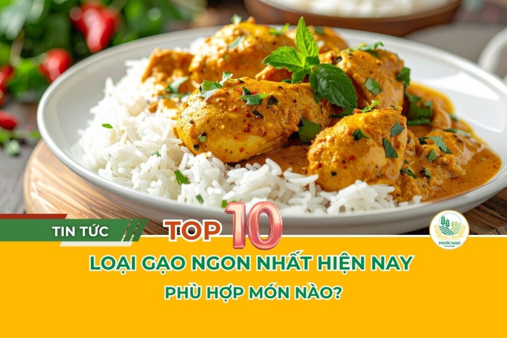 TOP 10 loại gạo ngon nhất hiện nay - Phù hợp món nào?