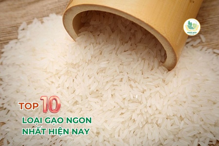 TOP 10 loại gạo ngon nhất hiện nay - Phù hợp món nào?