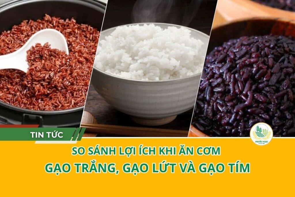 So sánh lợi ích khi ăn cơm gạo trắng, gạo lứt và gạo tím