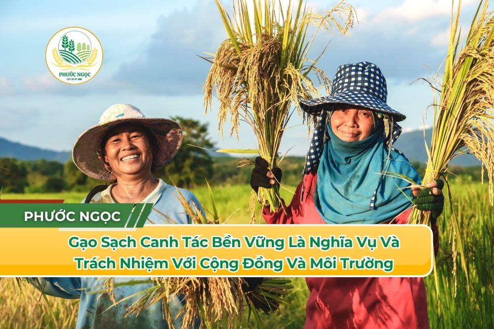 Gạo Sạch Canh Tác Bền Vững Là Nghĩa Vụ Và Trách Nhiệm Với Cộng Đồng Và Môi Trường