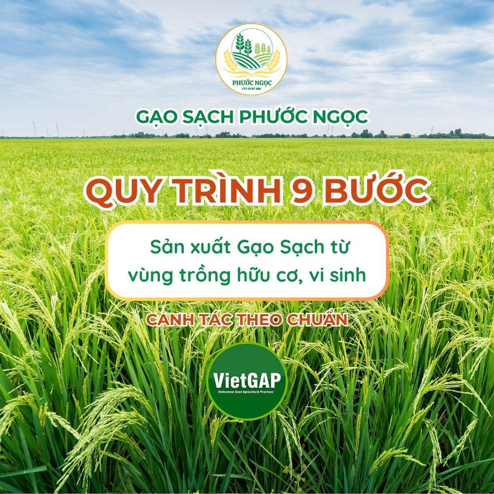 Xu hướng “gạo xanh - gạo sạch” ngày càng được quan tâm