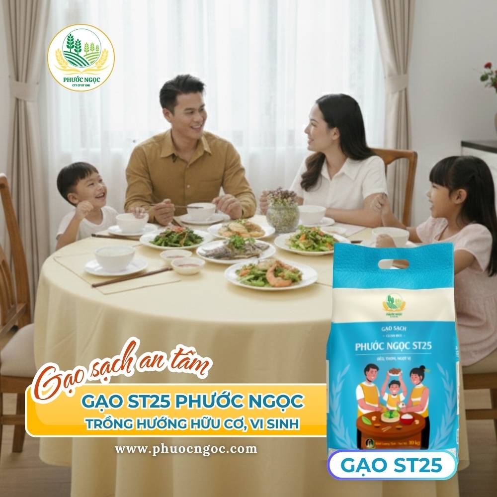 Gạo ST25 Phước Ngọc - Gạo sạch cho bữa cơm chất lượng