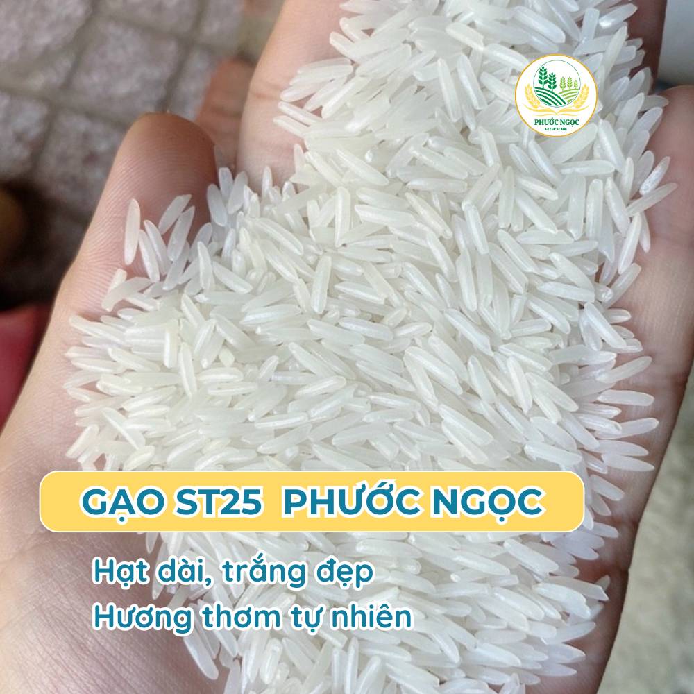 gạo ST25 Phước Ngọc