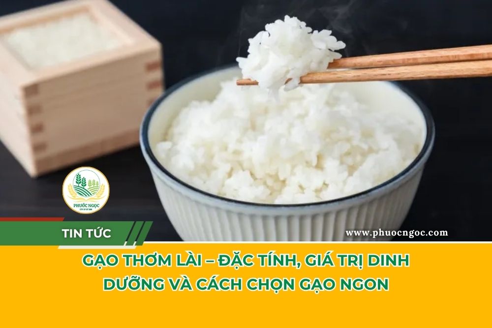Gạo Thơm Lài - Đặc Tính, Giá Trị Dinh Dưỡng Và Cách Chọn Gạo Ngon