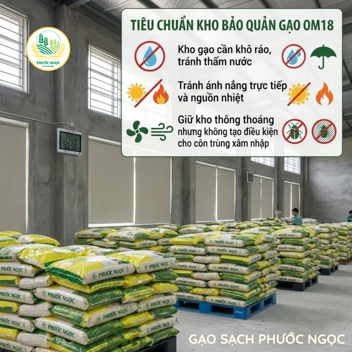 Lựa chọn kho bảo quản gạo OM18 khô ráo, sạch sẽ
