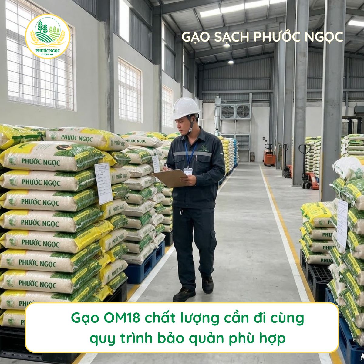 Xếp bao gạo OM18 đúng cách để hạn chế ẩm mốc và mối mọt