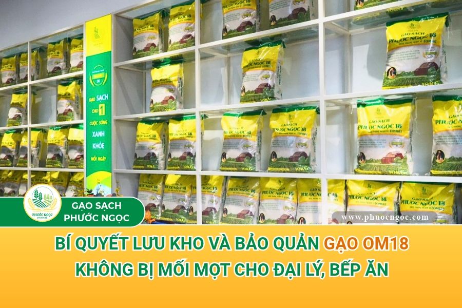 Bí quyết lưu kho và bảo quản gạo OM18 không bị mối mọt cho đại lý, bếp ăn