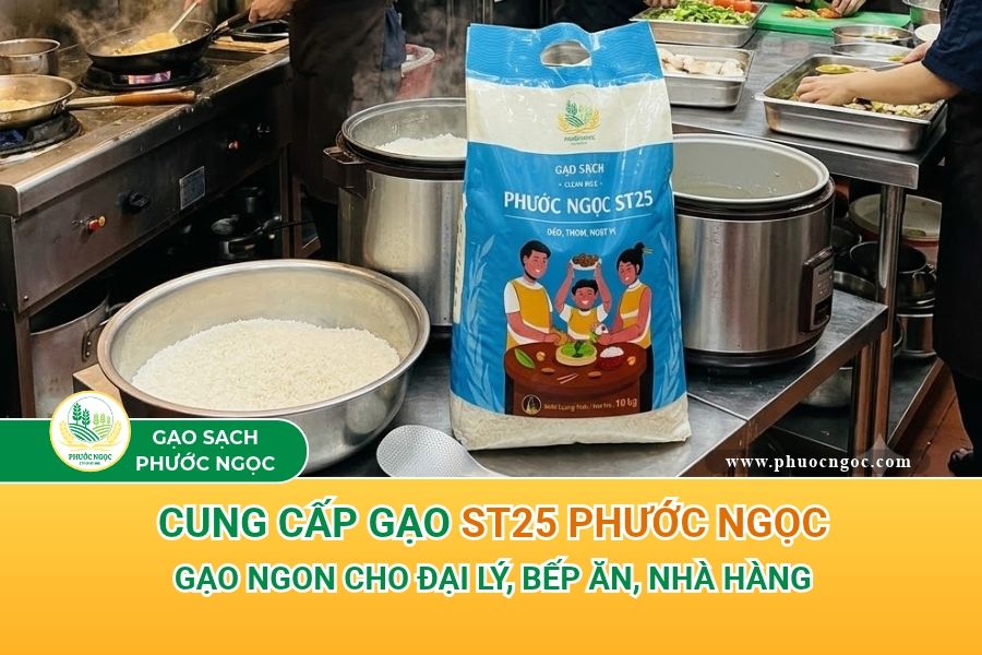 Cung cấp gạo ST25 Phước Ngọc - Gạo ngon cho đại lý, bếp ăn, nhà hàng