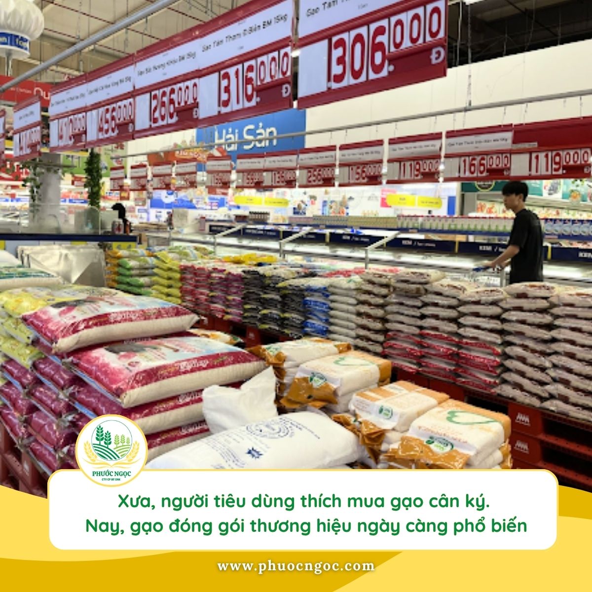 Thị trường gạo Việt Nam đã thay đổi như thế nào?