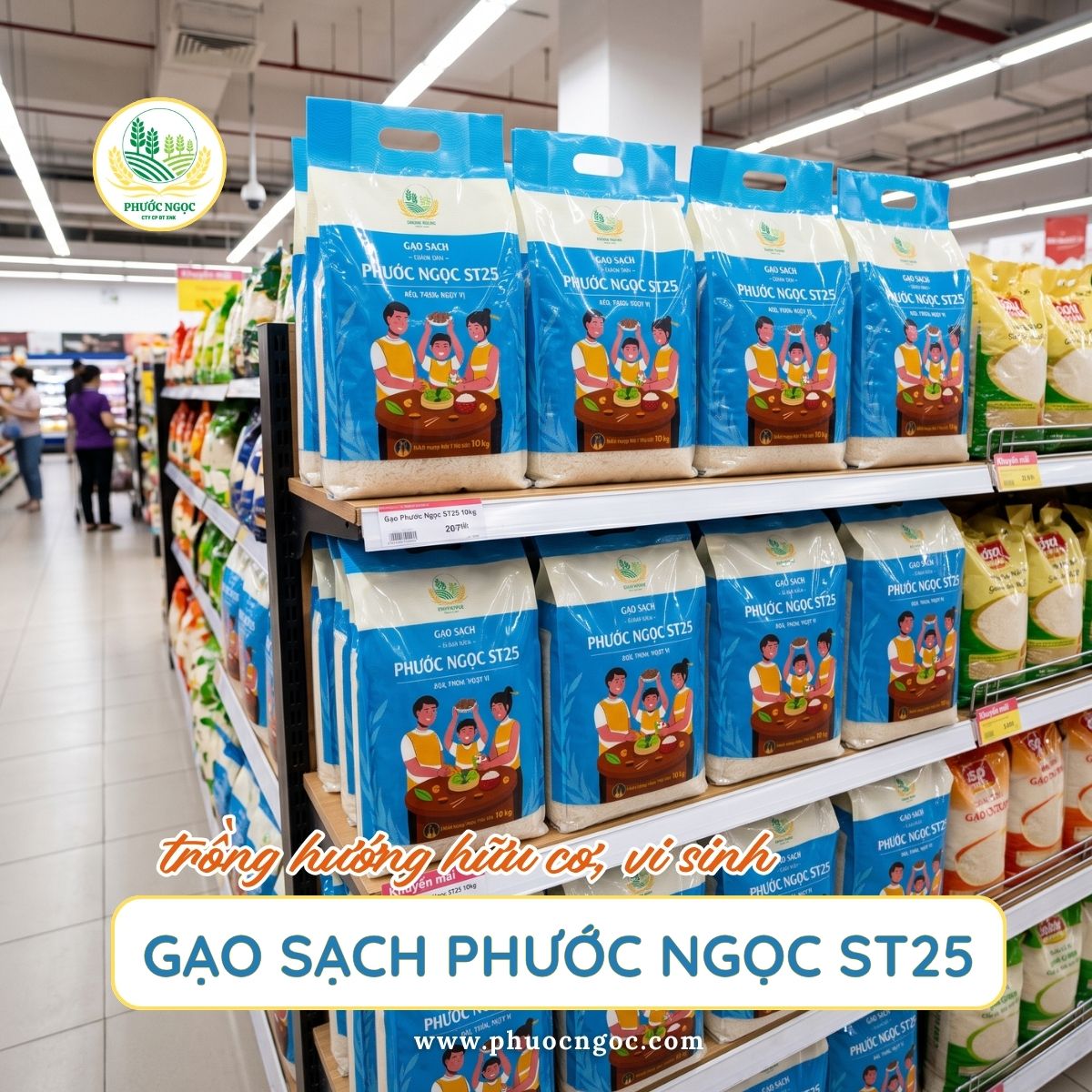 Gạo ST25 Phước Ngọc trồng hướng hữu cơ, vi sinh